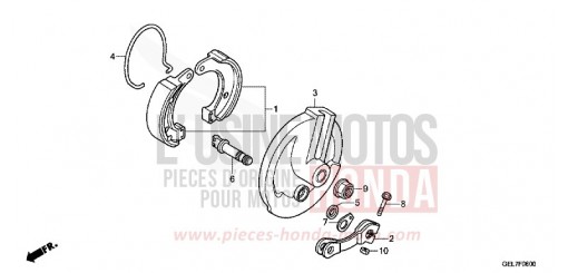FRONT BRAKE PANEL CRF50FH de 2017